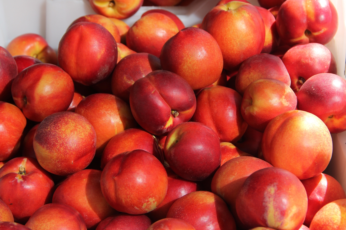 Nectarines