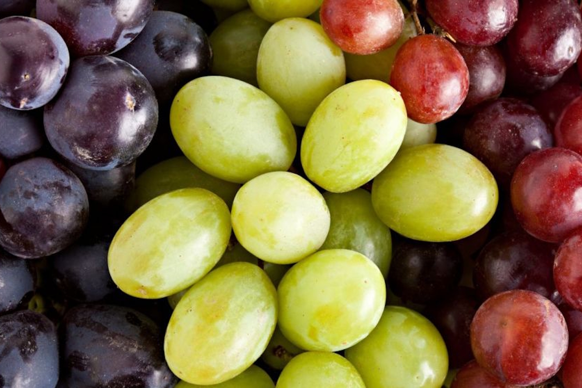 Uvas